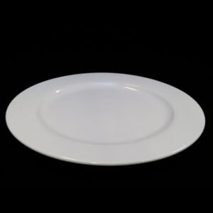 Dinner Plate (bags of 10)