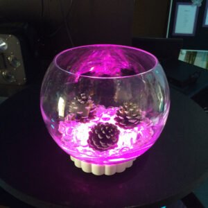 Fish Bowls - large