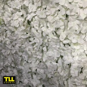 Hydrangea Backdrop