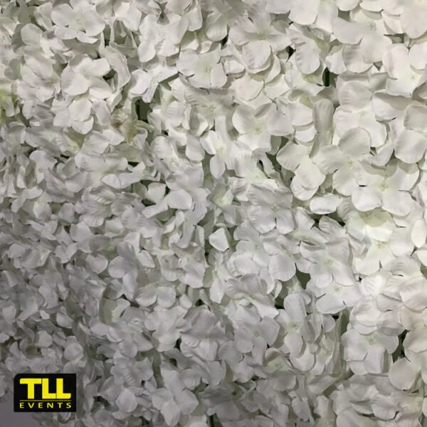 Hydrangea Backdrop