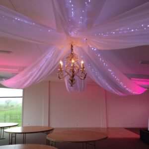 Rustic Chandelier