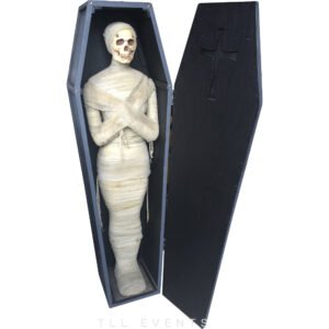 Coffin with Mummy
