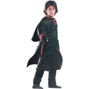 Harry Potter Standup