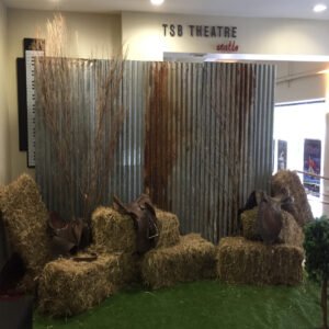 Corrugated Iron Backdrop
