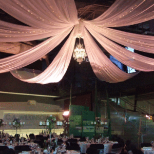 Roof Silks
